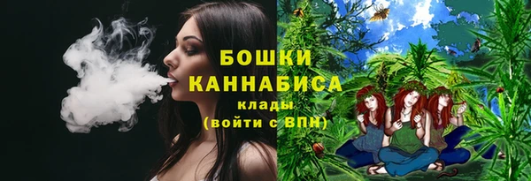 МДПВ Саяногорск