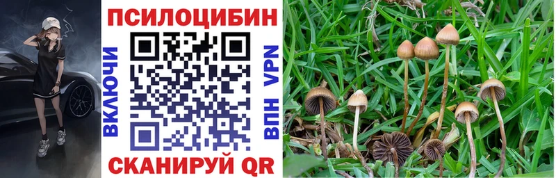 Купить где  Отрадный  Галлюциногенные грибы прущие грибы 